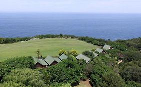 Misty Mountain Reserve 4*